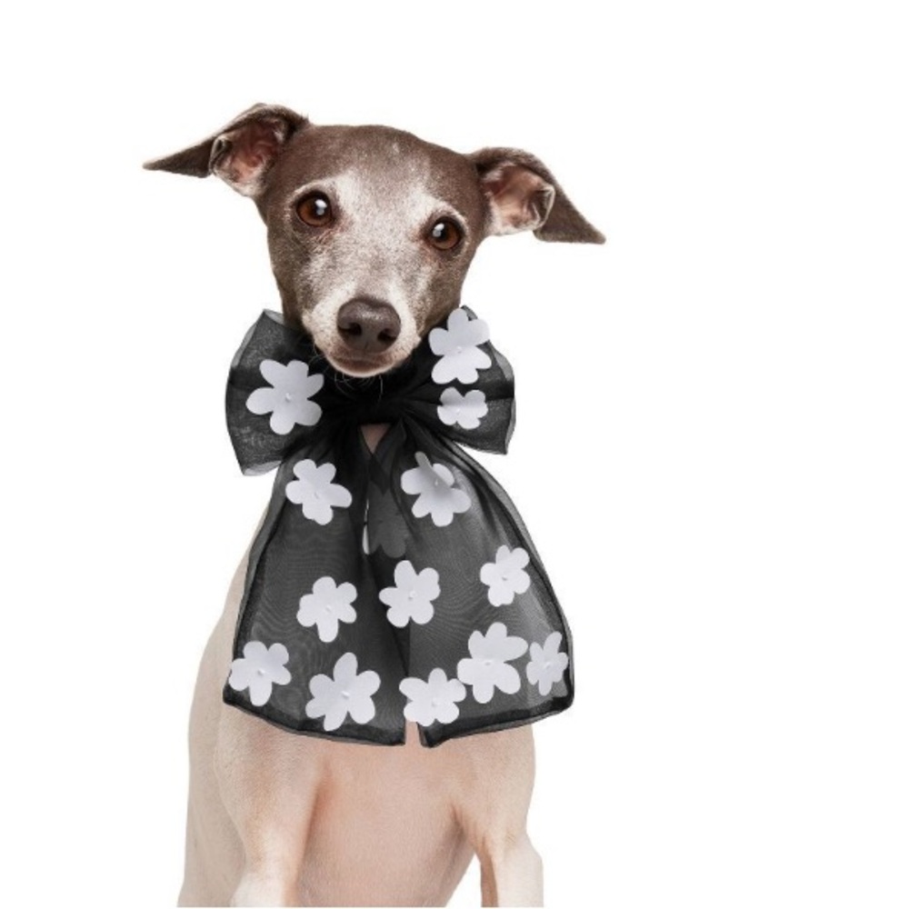NWT! Limited Edition Collection: Ghost & Wren Dog Organza Bow Collar Slide